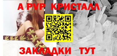 крисы Шелехов