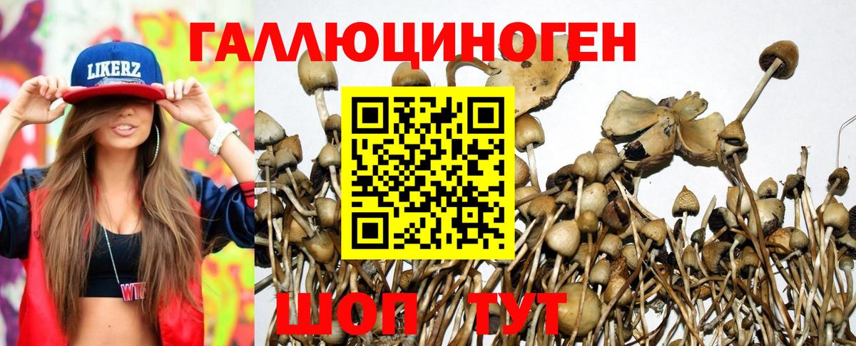 Псилоцибиновые грибы мицелий  Вход с VPN  Псилоцибиновые грибы ЛСД  Сургут 